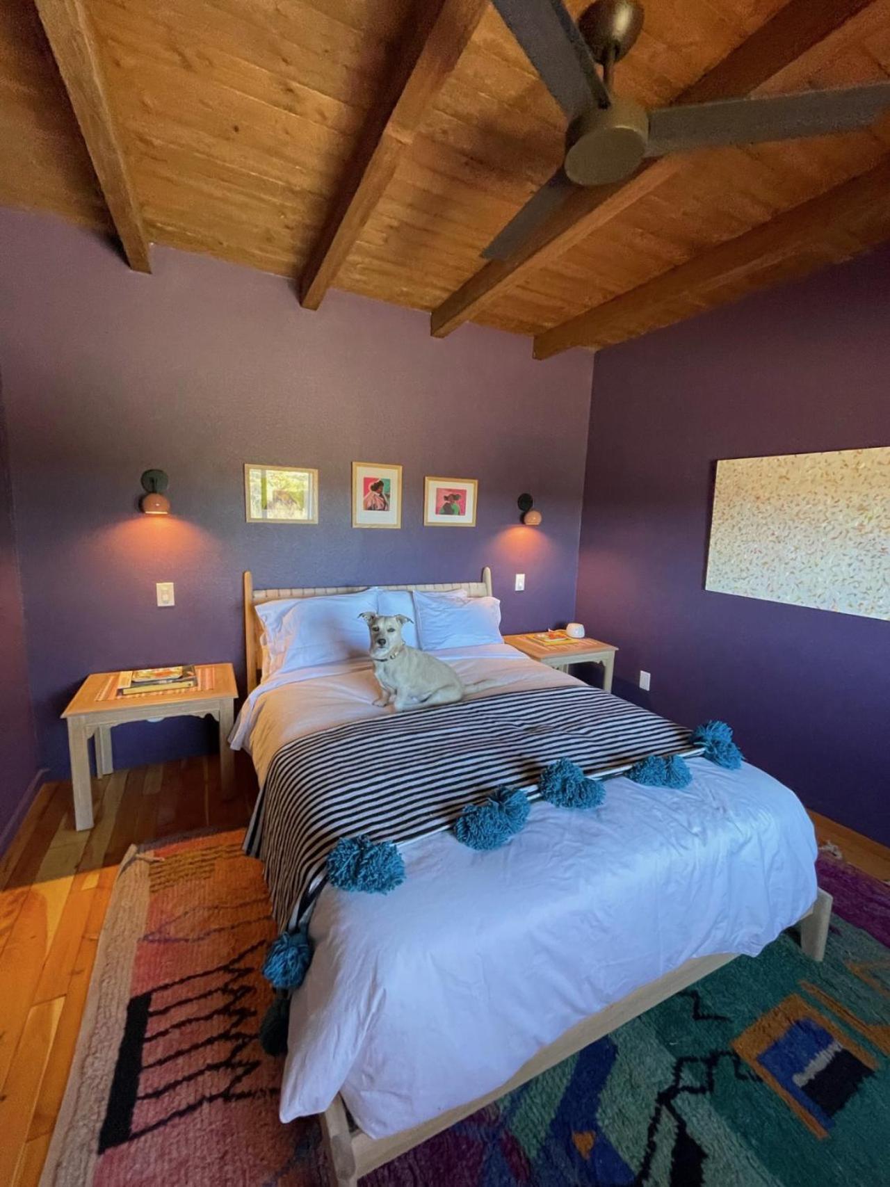 La Dea - Entire Boutique Guest house *